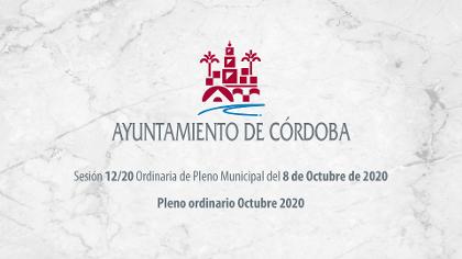 Sesin 12/20 Ordinaria de Pleno Municipal del 8 de Octubre de 2020