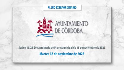 Sesión 15/25 extraordinaria de Pleno Municipal de 18 de noviembre de 2025