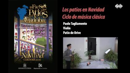 Los patios en Navidad 2016: Paolo Tagliamento. Violín.